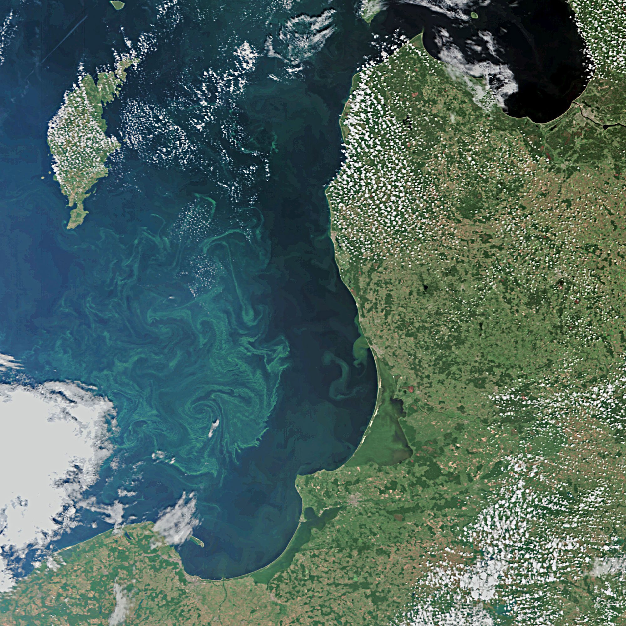 Algenblüte auf der Ostsee: Das Bild zeigt die Danziger Becken und die Ostsee vor Kaliningrad und Litauen sowie das südliche Ende Gotlands.