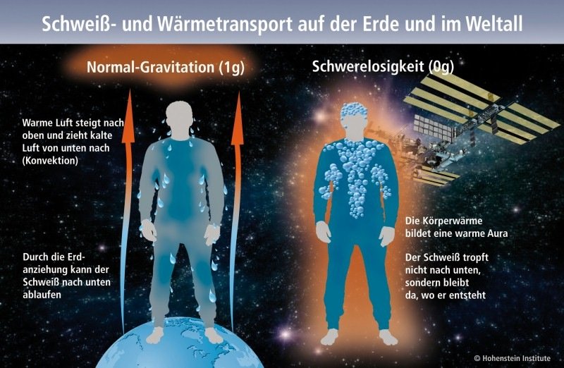 Der Schweiß- und Wärmetransport zwischen Haut und Bekleidung verändert sich in der Schwerelosigkeit. Bei Null-Gravitation kann der Schweiß nicht mehr nach unten ablaufen, sondern bleibt dort, wo er entsteht. 