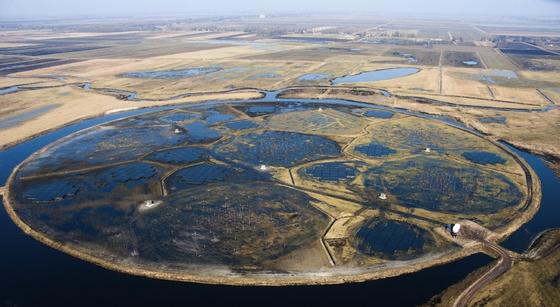 Die LOFAR-Zentralstationen im Nordosten der Niederlande auf einem eigens angelegten Feld zwischen Exloo und Buinen in Drenthe. Das größte Radioteleskop der Welt wurde 2010 in Betrieb genommen. 