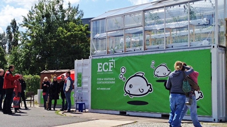 Die ECF-Stadtfarm besteht aus einem Fischbecken (unten im Container), das den Dünger liefert für die Tomatenzucht darüber.