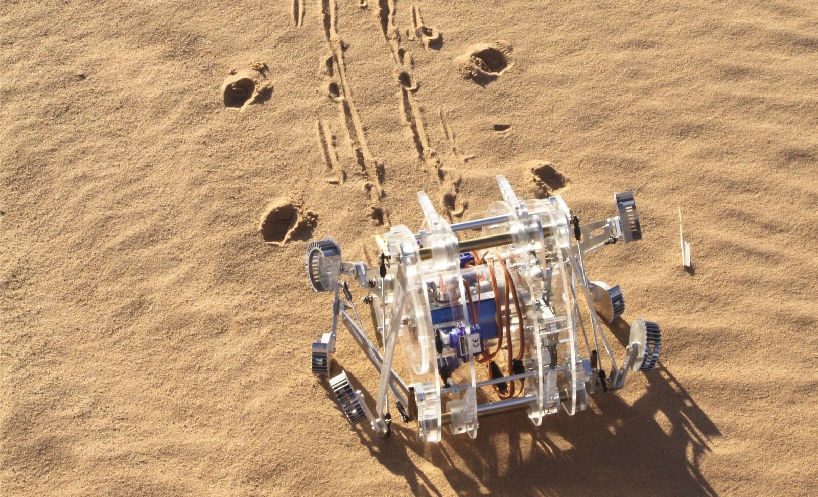 Bionischer Roboter nach dem Vorbild einer in der marokkanischen Wüste lebenden Spinne: Wie die Spinne kann auch der Roboter springen.