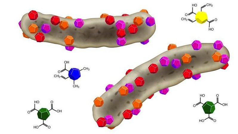 Die farbigen Partikel symbolisieren unterschiedliche Nanodiamanttypen, die sich an Bakterienzellen (grau) binden und diese töten.