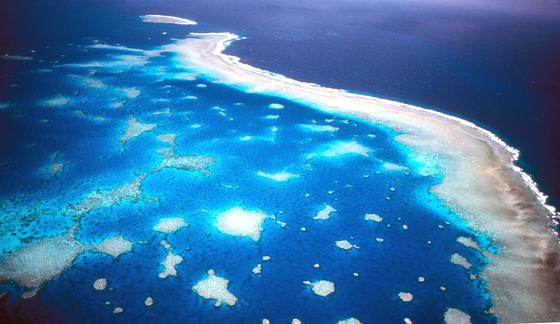 Luftaufnahme des Great Barrier Riffs vor der Küste Australiens. 