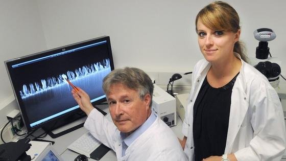 Prof. Dr. Manfred Köller und Dr. Christina Sengstock zeigen die mikroskopisch vergrößerte Seitenansicht der nanostrukturierten Titanoberfläche. Sie hat ähnlich wie der Zikadenflügel antibakterielle Eigenschaften.