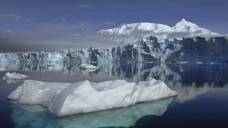 Die Erderwärmung führt dazu, dass sich Kleinstlebewesen in Eisregionen schneller vermehren können. Sie reduzieren die Reflektionskraft des Eises um bis zu 20 Prozent.