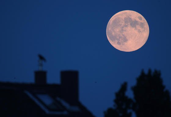 Nur sieben Prozent der Befragten stören die Geräusche der Windkraftanlagen beim Einschlafen. 25 Prozent fühlen sich zwar belästigt, aber nicht gestresst. 