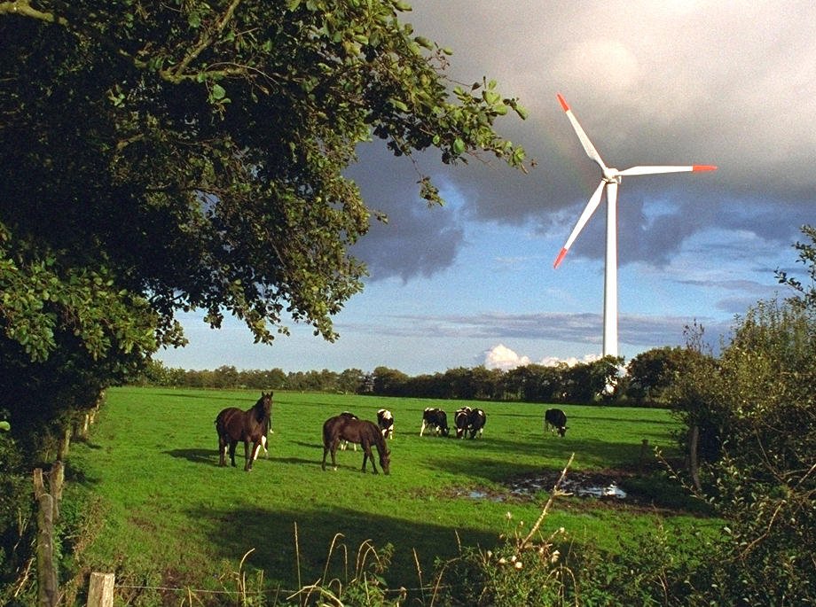 Auch wenn sich einige Anwohner von der Geräuschentwicklung belästigt fühlen, lehnen viele von ihnen die Windparks dennoch nicht ab. 