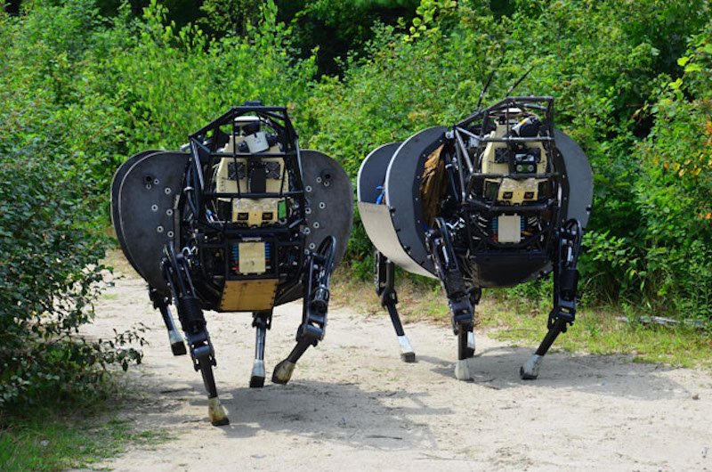 Roboter namens AlphaDog trainierten mit den US Marines auf Hawaii. Sie halten selbstständig das Gleichgewicht.