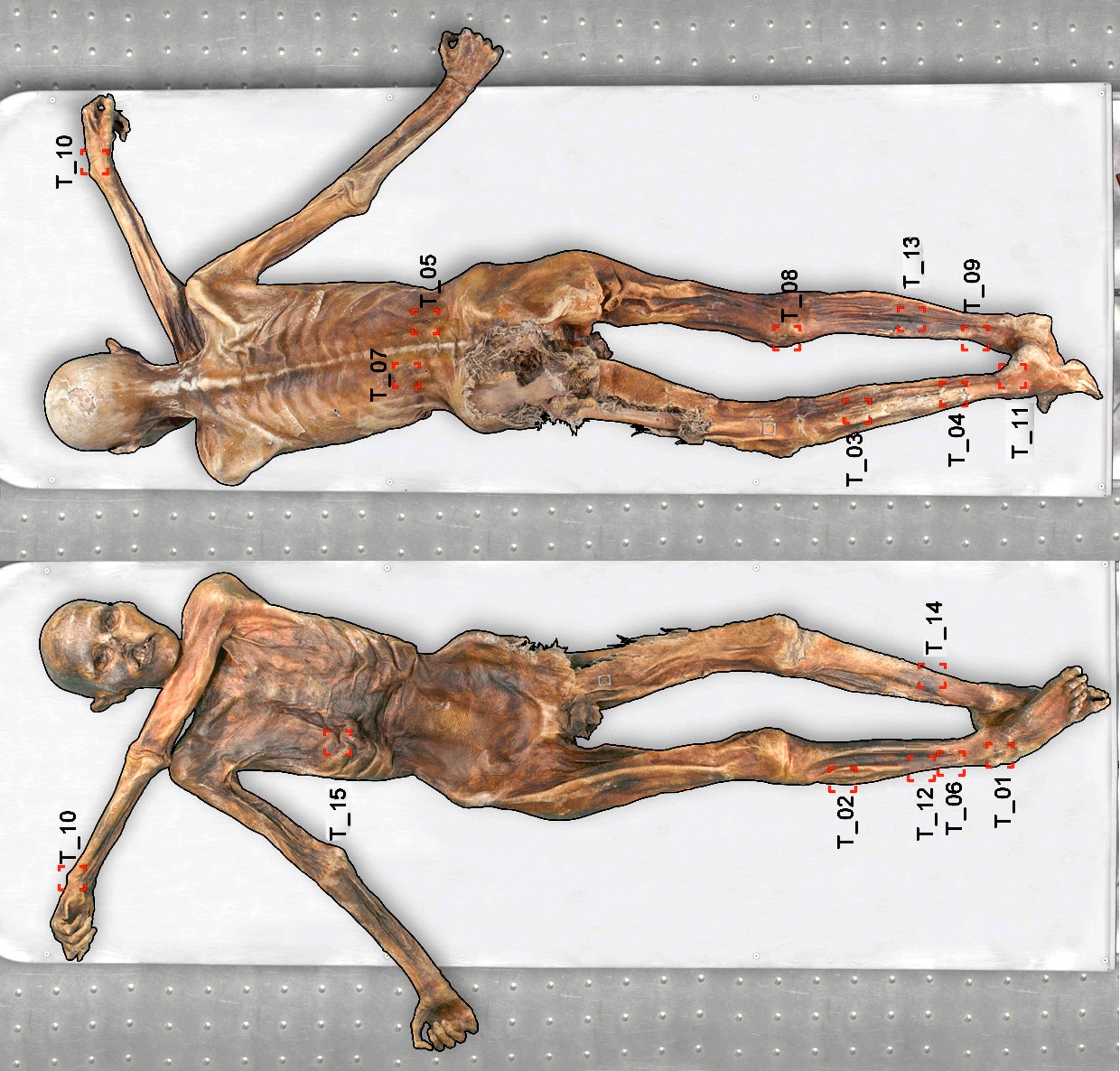 Kartierung aller Tätowierungen auf Ötzis Körper: Die Forscher in Bozen haben inzwischen 61 Tätowierungen auf der Haut entdeckt.