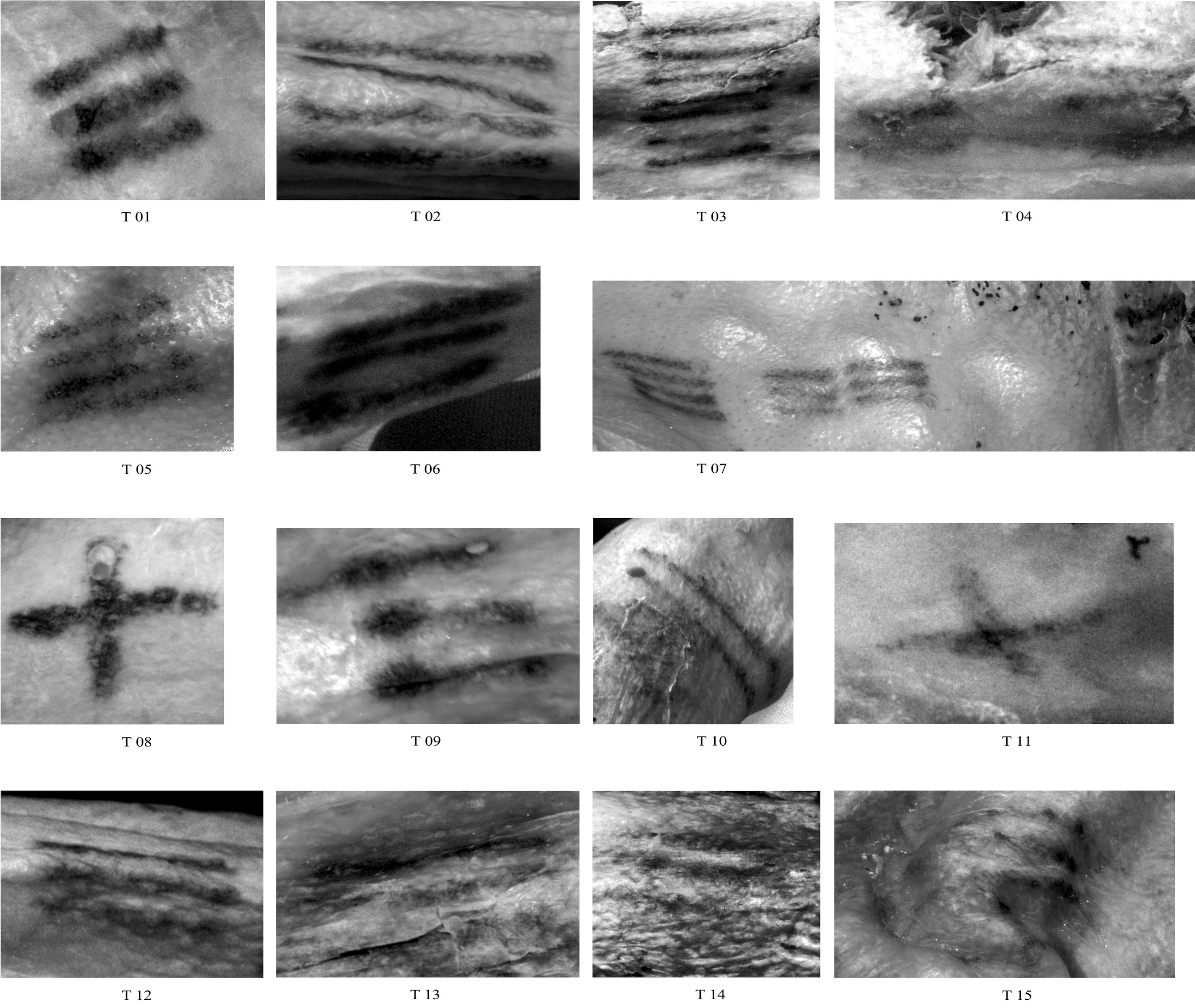 Die mit multispektralen Techniken fotografierten Tätowierungen: Eine Tätowierung auf der Brust wurde nur durch die moderne Fototechnik entdeckt.