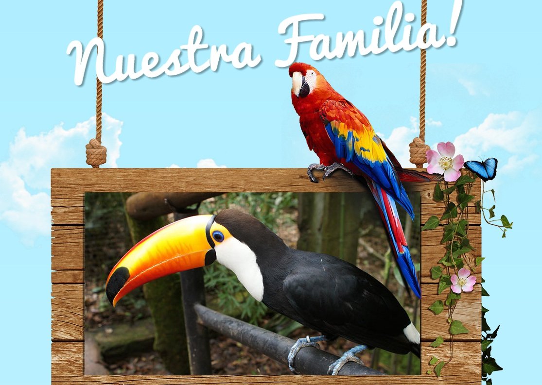 Auszug von der Homepage des Zoo Ave in Costa Rica: Dort hat man sich des misshandelten Tukans angenommen. Solange er ohne vollständigen Oberschnabel ist, muss er gefüttert werden.