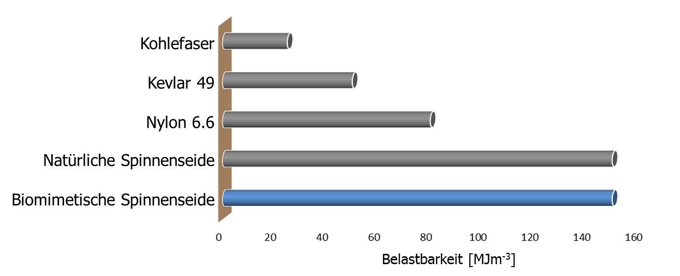 Biomimetische Spinnenseide ist genauso belastbar wie das natürliche Vorbild und zahlreichen anderen Fasern überlegen. Die Belastbarkeit wird in Megajoule pro Kubikmeter (MJm-3) gemessen.