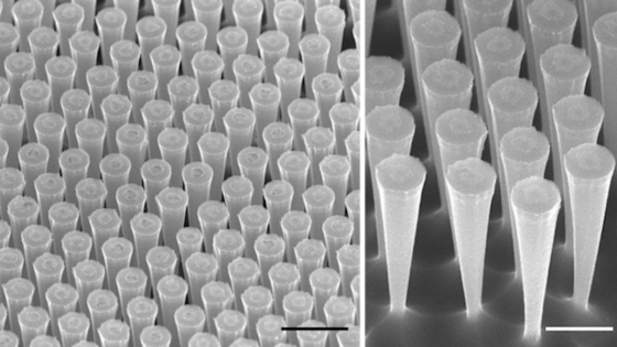 Die Forscher ätzten nur zwei Mikrometer lange Trichter in das Silizium-Substrat. Das Ergebnis: Der Wirkungsgrad der Solarzelle erhöht sich, sie absorbiert 65 Prozent mehr Licht. 