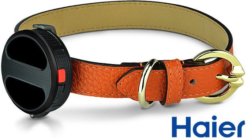 Haier bietet auch ein Hundehalsband mit GPS-System an. Besitzer können dann entlaufene Tiere schnell orten.