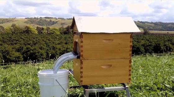 Imkerei Wabenwachsrahmen Bienenstock Ausrüstung Versorgungsmaterialien