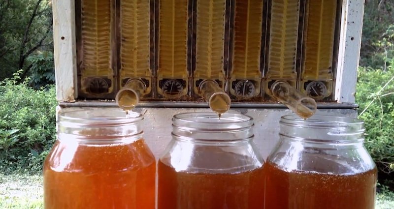 Funktions-Bienenstock-Honig Hahn Schieber-Bienenzucht-Bienenzucht-Werkzeug 