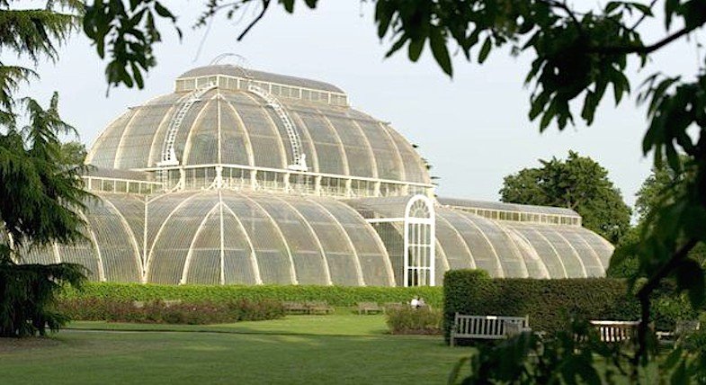 Blick auf das Palmenhaus der Royal Botanical Gardens im Londoner Stadtteil Kew.