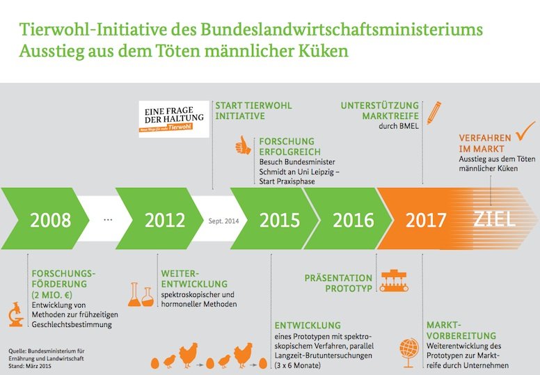 Zeitplan: 2017 soll Schluss sein mit dem Töten männlicher Küken.