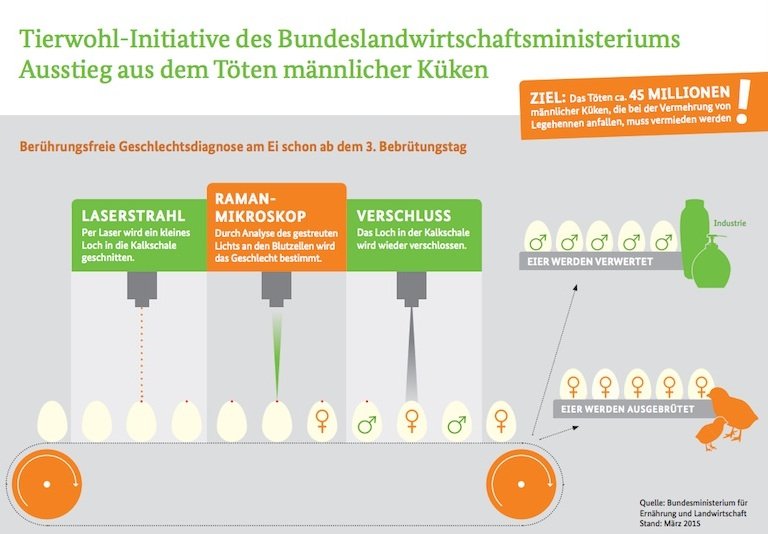 So soll in Zukunft mit bebrüteten Eier verfahren werden.