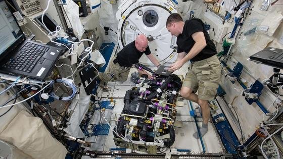 Die Nasa-Astronauten Scott Kelly (li.) und Terry Virts bei der Arbeit auf der ISS. Sie und ihre Kollegin Samantha Christoforetti müssen mindestens einen Monat länger als geplant auf ihre Rückkehr zur Erde warten. 