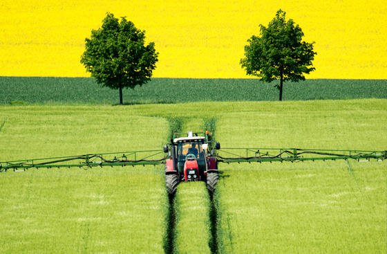 Bauer beim Spritzen eines Gerstenfeldes: Die wachsenden Flächen von Monokulturen in der Landwirtschaft gefährden zunehmend die Artenvielfalt von Pflanzen und Tieren. Zu diesem Ergebnis kommt der erste Artenschutzbericht des Bundesamtes für Naturschutz.