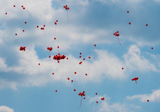 Rote Luftballons steigen zum Weltblutspendertag am 14. Juni 2015 von der Stadtbrücke über die Oder in Frankfurt in den Himmel auf. Verlieren Menschen bei Unfall oder OP große Mengen an Blut, geht es um Leben und Tod. Forscher arbeiten an neuen Möglichkeiten, Blutungen zu stoppen und Blut künstlich herzustellen.  