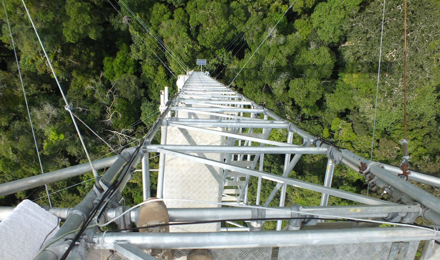 Schwindelerregender Blick nach unten: Mit 325 m Höhe ist der neue Klima-Messturm im brasilianischen Regenwald noch einen Meter höher als der Eiffelturm. 