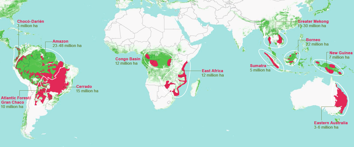 Bis 2030 erwartet der WWF Waldverluste von weltweit bis zu 170 Millionen Hektar.