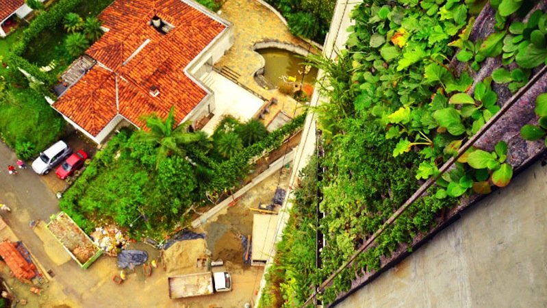Der vertikale Garten entlang der Fassade eines Mehrfamilienhauses im kolumbianischen Medellin reicht 92 Meter in die Höhe. Von der Seite ihrer Balkone sehen die Hausbewohner auf den Grünstreifen. 