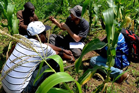 Volker Häring diskutiert mit Bauern in Tamale (Ghana) über Bodenfruchtbarkeit. Biokohle nimmt dabei eine Schlüsselrolle ein. 