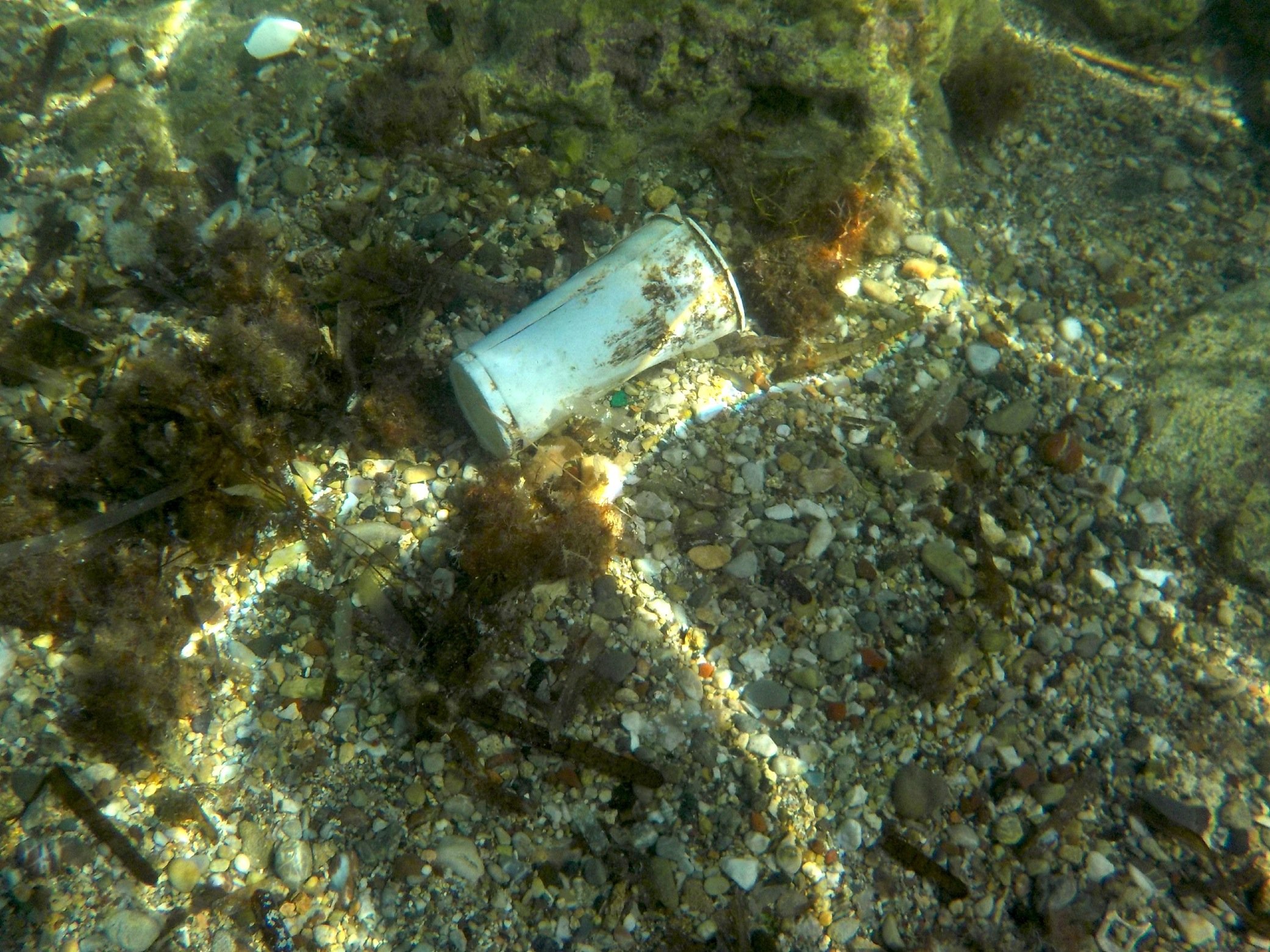 Trinkbecher am Strand von Rhodos: Müll im Meer ist ein weltweites Problem.
