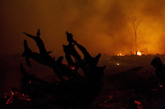 Wildfeuer am Rand von Palangkaraya in Indonesien. Die Aufnahme stammt vom 1. November 2015. Selbst aus der Nähe ist kaum etwas zu erkennen. 