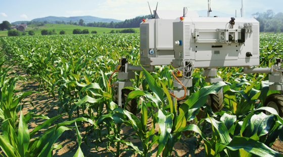 Bonirob bei der Arbeit auf dem Feld: Die Maschine kann zwischen Nutzpflanzen und Unkraut unterscheiden. Letzteres wird zielsicher vernichtet.