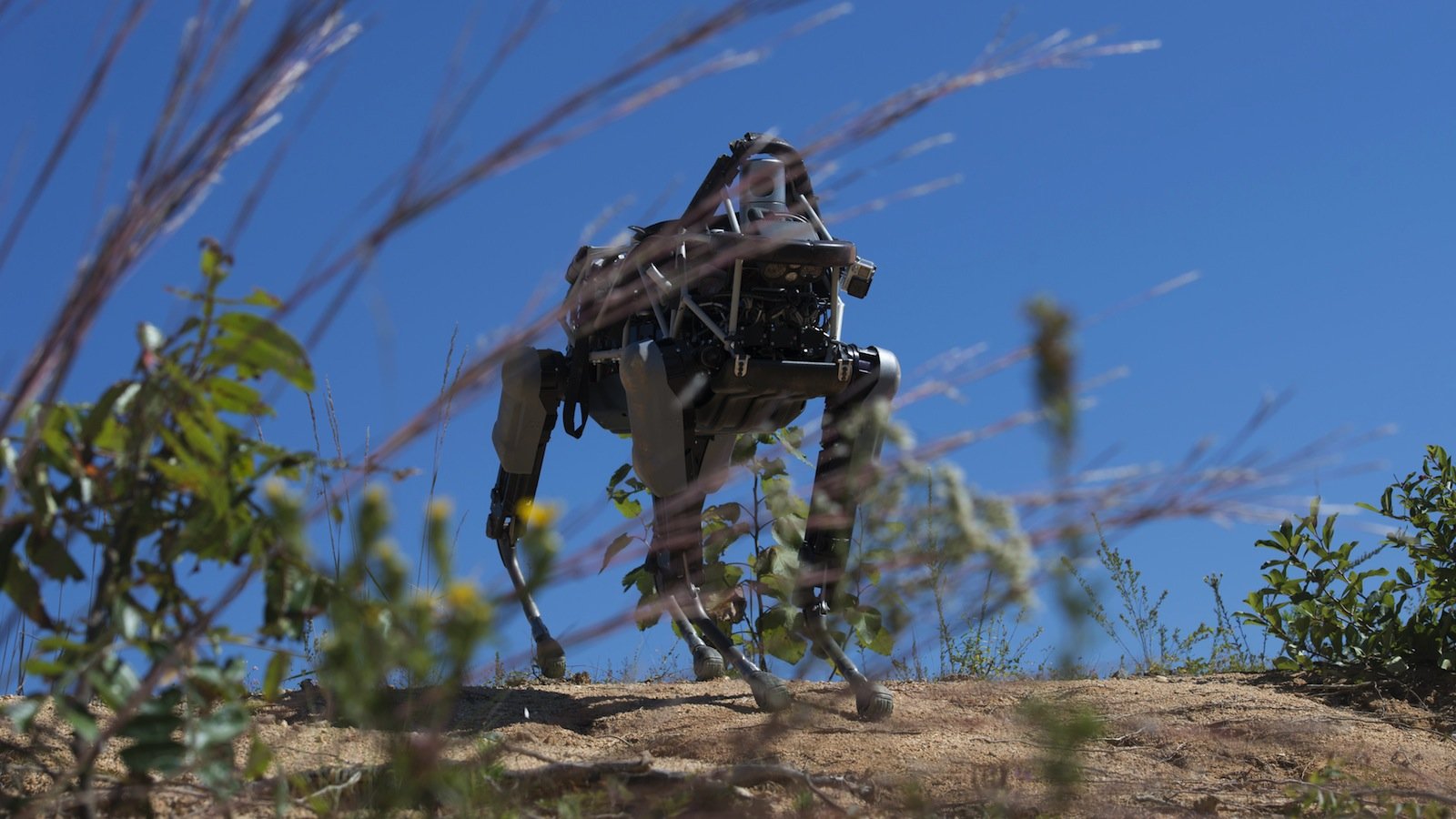 Das ist Spot, ein 73 Kilo schwerer Roboter-Hund, der bei den US-Marines einen Geländetest absolvieren musste. 