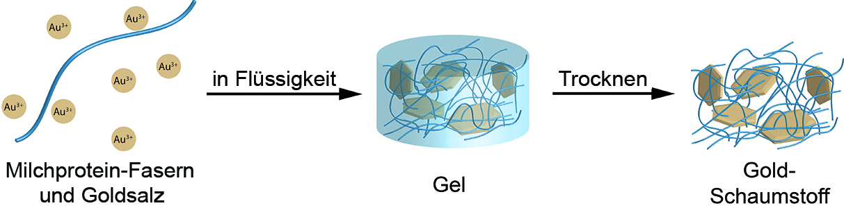 Milchproteinfasern und Goldsalz sind die Ausgangsstoffe für den Gold-Schaumstoff.
