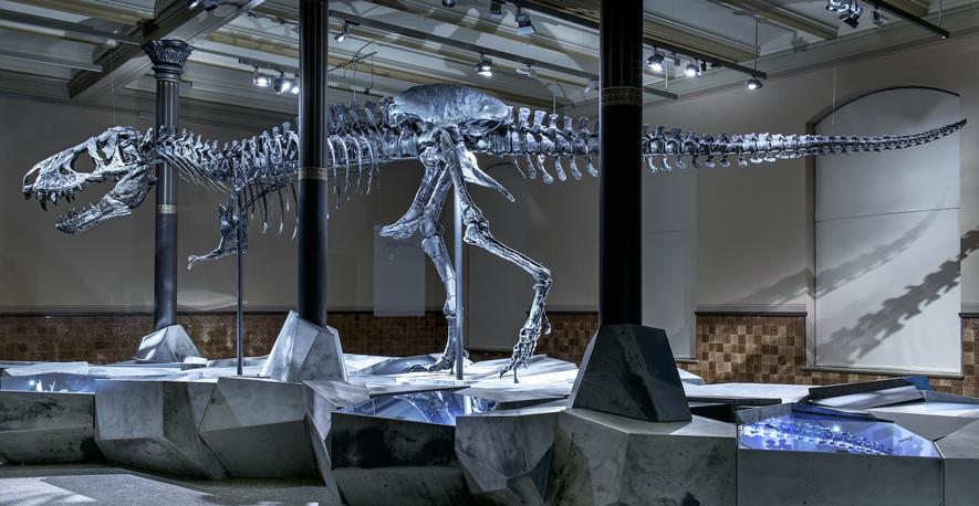 Orginal zu schwer: T-Rex-Schädel kommt aus dem 3D-Drucker
