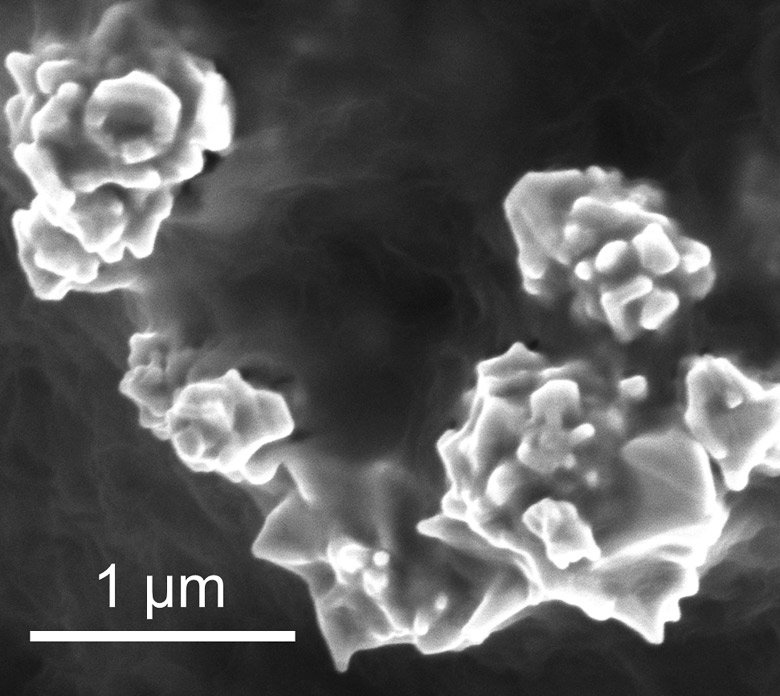 Mit Graphen überzogene Nanopartikel: Die Forscher bauten eine spezielle Polymer-Folie in die Kathode einer Lithium-Ionen-Batterie ein. In die Folie integrierten die Forscher winzige Partikel auf Nickelbasis, die an ihren Außenrändern über noch winzigere Spitzen in Nanogröße verfügen. Zuletzt wurden die Nickel-Partikel inklusive der Zacken mit Graphen überzogen. 