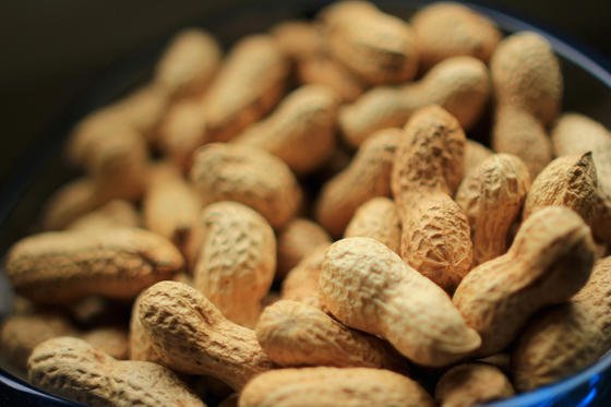 Erdnussschalen sind auch nach dem Verzehr der Erdnüsse noch zu gebrauchen: Manche Mikroorganismen darin können die Luft von toxischen Bestandteilen reinigen. 