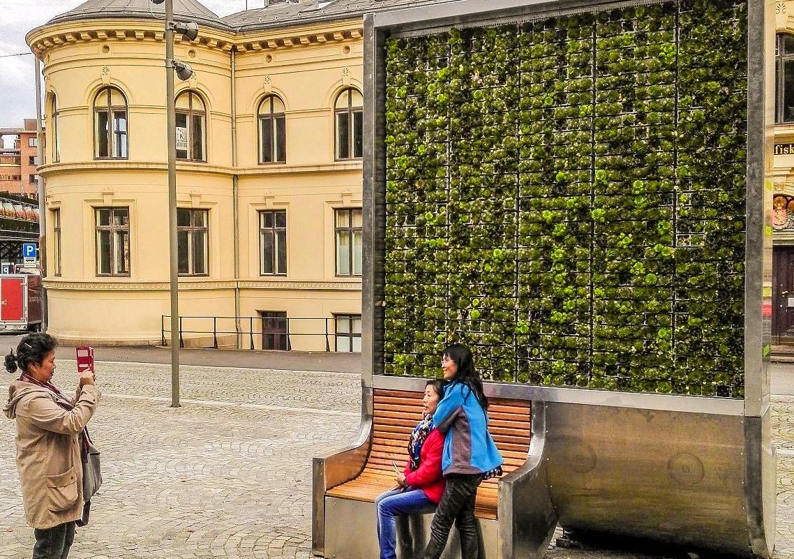 Stehende Grünfläche in Oslo: 1682 Pflänzchen haben auf dem Display Platz und verbessern das Stadtklima so wie 275 Straßenbäume, versprechen die Erfinder aus Dresden.