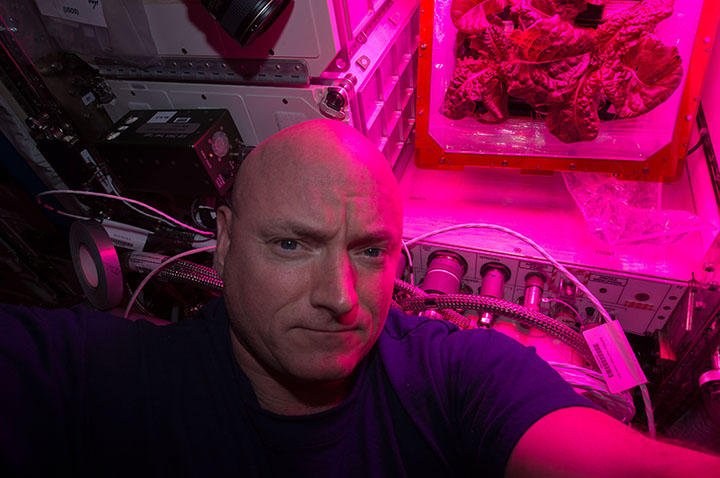 Selfie von ISS-Astronaut Scott Kelly: Die Aufnahme ist vom August 2015. Im Hintergrund ist auf der Raumstation gezüchteter Salat zu sehen. 