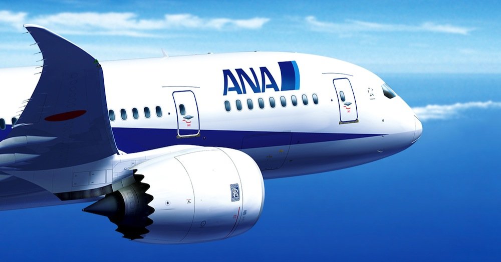 Die japanische Fluggesellschaft ANA sieht vor allem in Algen den Treibstoff der Zukunft.