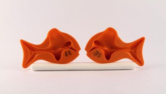 Auf den Hohlraum kommt es an: Damit die Fische aus dem 3D-Drucker perfekt im Wasser liegen, errechnet eine neue Software die optimale Form fürs Innere. 