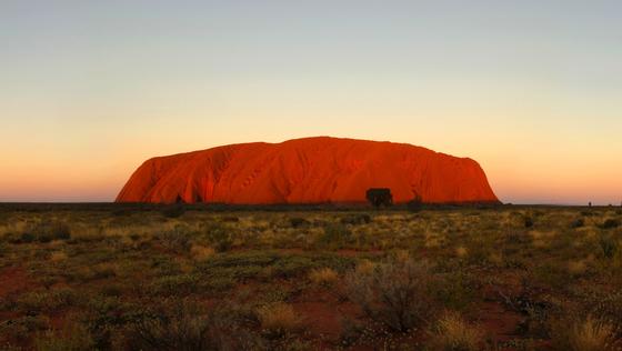 Rund um Australiens Wahrzeichen, den roten Berg Uluru, in Englischen Ayers Rock genannt, wächst das Urgras Spinifex in großen Mengen. Jetzt haben Forscher festgestellt, dass es die Produktion noch dünnerer Latex-Materialien erlaubt.