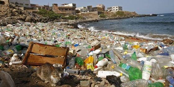 PET-Flaschen am Strand von Ngor im Senegal: Japanische Forscher haben eine Bakterienart entdeckt, die PET zersetzen kann. 