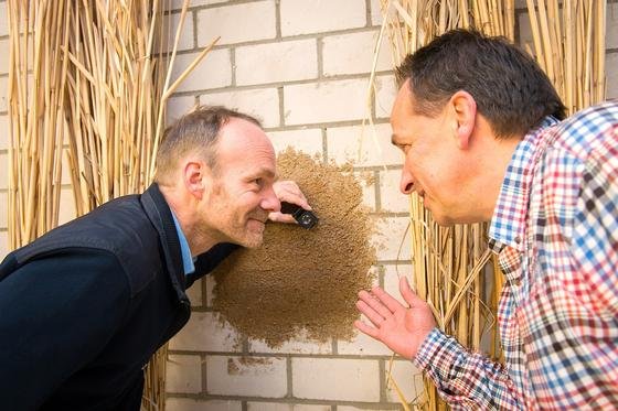 Nehmen den neuartigen Dämmputz aus Miscanthus-Partikeln in Augenschein: Prof. Ralf Pude (l.) von der Universität Bonn und Michael Petry von der Firma Petry Oberflächentechnik.