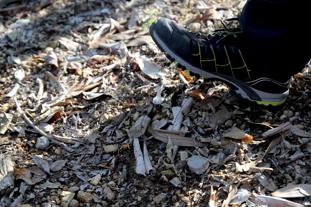 Bei einem Besuch auf einem Trainingsgelände des Militärs in Tolemaida durften die RUB-Forscher hautnah erleben, wie schwer die Minensuche im kolumbianischen Urwald ist. Für das ungeübte Auge sind die Sprengfallen kaum zu erkennen.