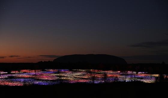 Bruce Munros jüngste Installation bringt Licht ins australische Outback. 