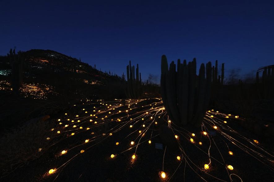 Bruce Munro installiert magisches Licht am Uluru