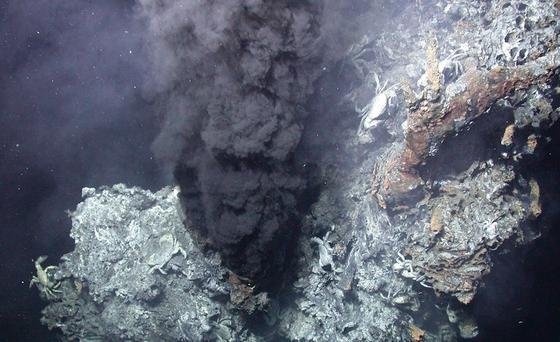 Schwarzer Raucher: Bei dem "Rauch" handelt es sich um schwarze, staubähnliche Partikel, die im Wasser gelöst sind. 