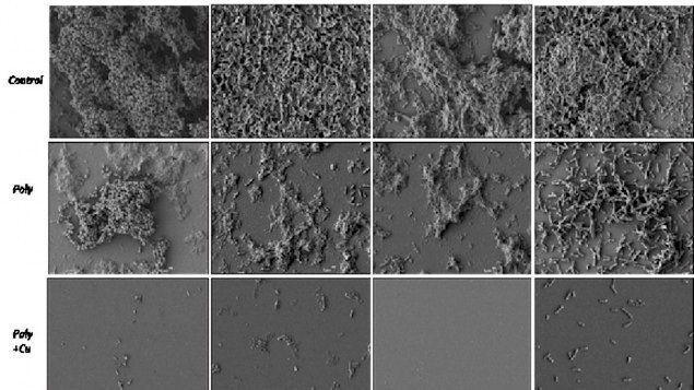 Die oberste Bildreihe zeigt den unbehandelten Biofilm auf Metallflächen. Bei der zweiten Bildreihe sind dieselben Flächen nach der rein chemischen Behandlung zu sehen und darunter die Metallflächen nach der Nano-Lackierung auf der Basis chemisch behandelten Kupfers.